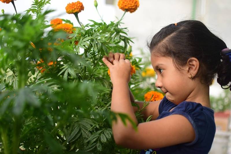 EMA Ma Nounou à Moi à Muret : Garde d'enfants à domicile et périscolaire avec activités sportives